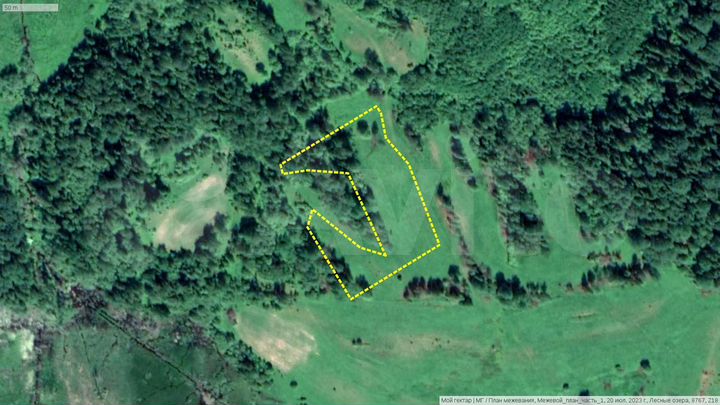 Участок 1,01 га (СНТ, ДНП)