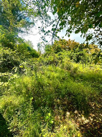 Участок 7,5 сот. (СНТ, ДНП)