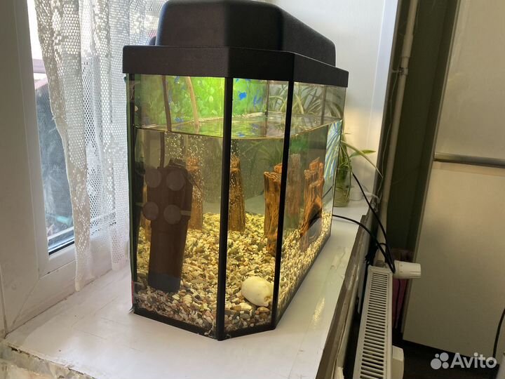 Аквариум с рыбкой