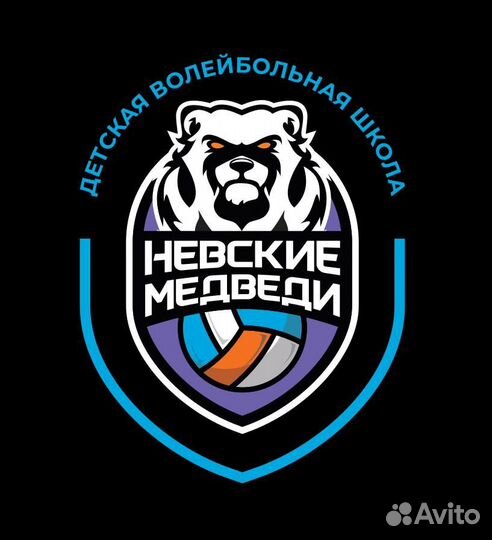 Управляющий в сеть детских волейбольных школ