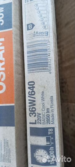 Лампа osram l36w/640 g13