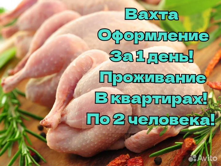 Упаковщик вахта питание проживание г Павлово