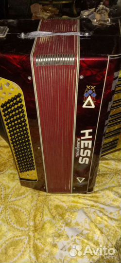 Концертный Акардион hess