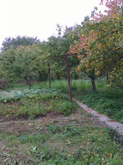 Дом 84 м² на участке 14 сот.