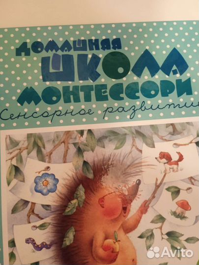 Книга домашняя школа Монтессори 2 +