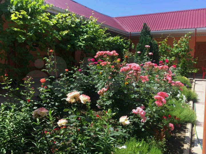 Комната 15 м² в 5-к., 1/2 эт.