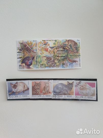 Почтовые марки