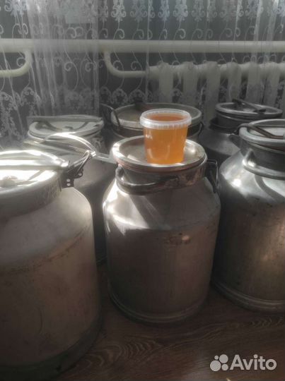 Мед оптом разнотравье