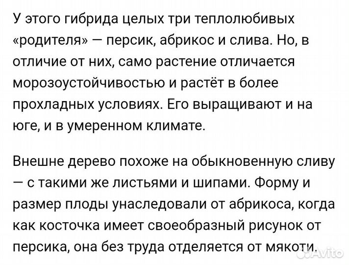 Саженцы Шарафуга