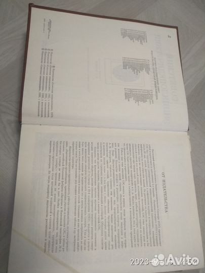 Советский энциклопедический словарь