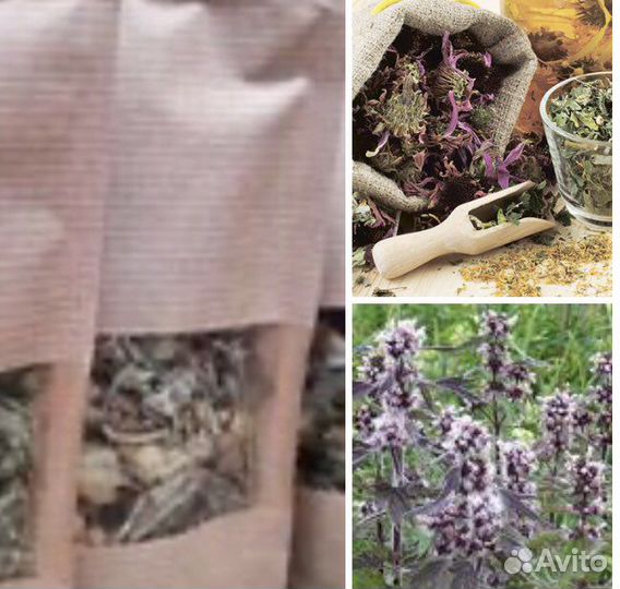 Сбор трав «Фито релакс»/Травы на меду/Сборы трав