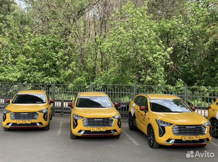 Водитель 50/50 выплаты каждый день