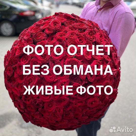 Розы 101 штука 70 см