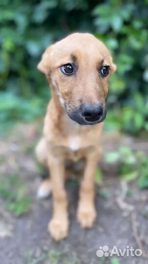 Ласкуша Маргоша, 4 месяца