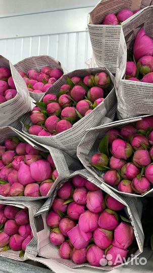 Доставка цветов пионы