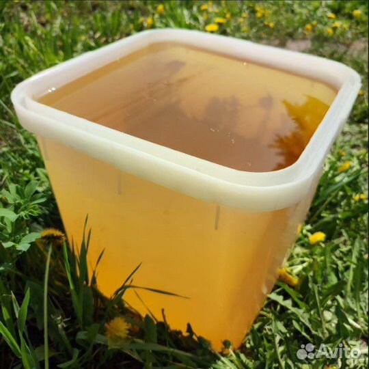 Мед в кубоконтенерах свежий 2023