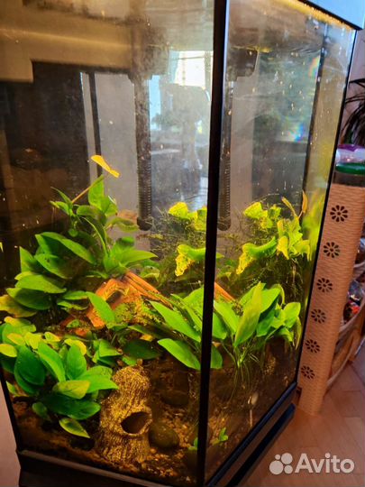 Аквариум с тумбой 60 литров