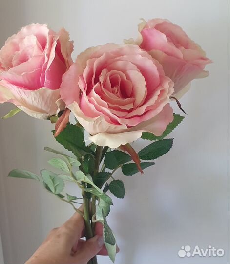 Интерьерных цветы