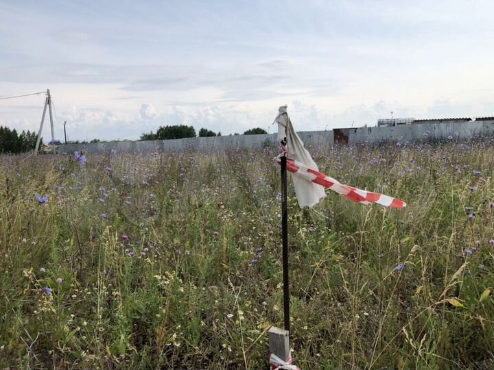 Участок 10 сот. (ИЖС)