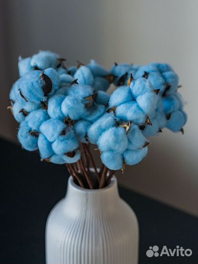 Сухоцветы хлопок букет