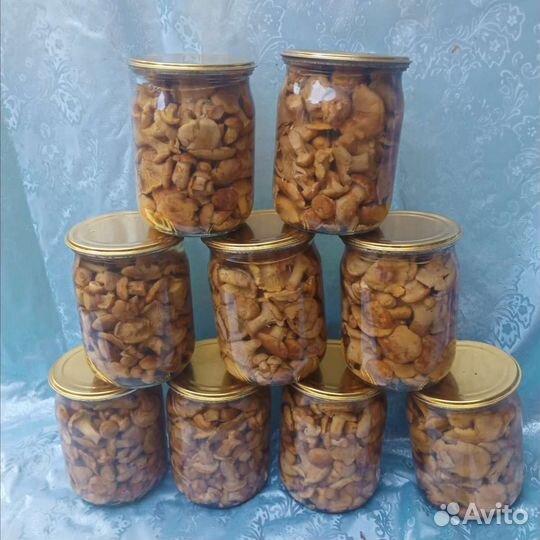 Грибы лисички