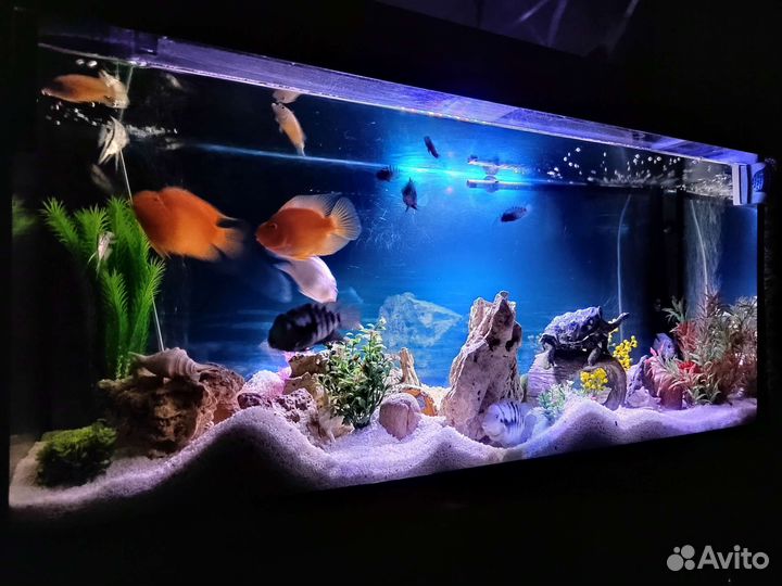 Аквариум с тумбой