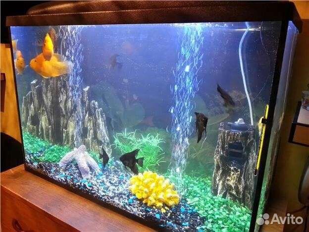 Чистка и обслуживание вашего аквариума