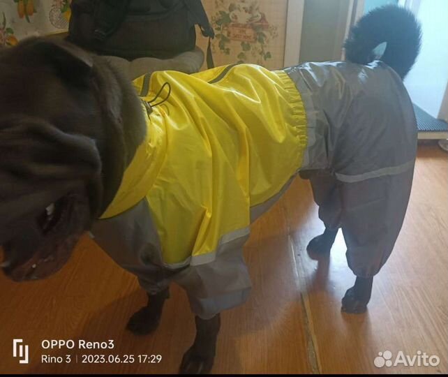 Дождевик на крупную собаку 60-64 см по спинке