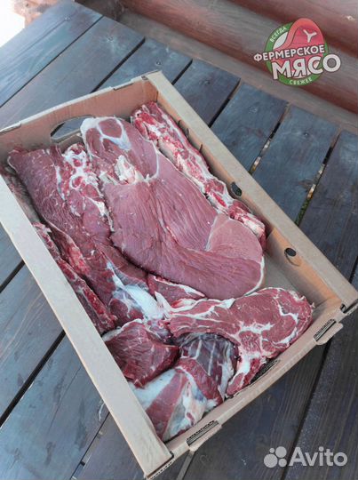 Мясо говядина