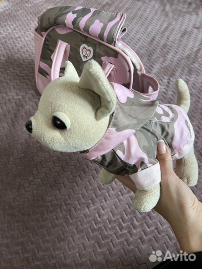 Chi chi love чихуахуа в сумочке + кактус