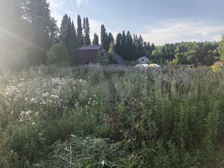 Участок 11 сот. (ИЖС)