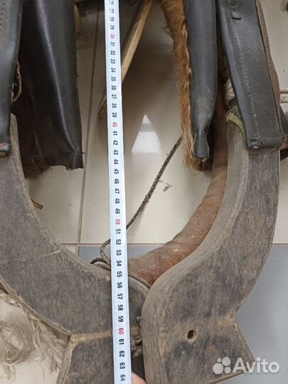 Хомут (упряжь)