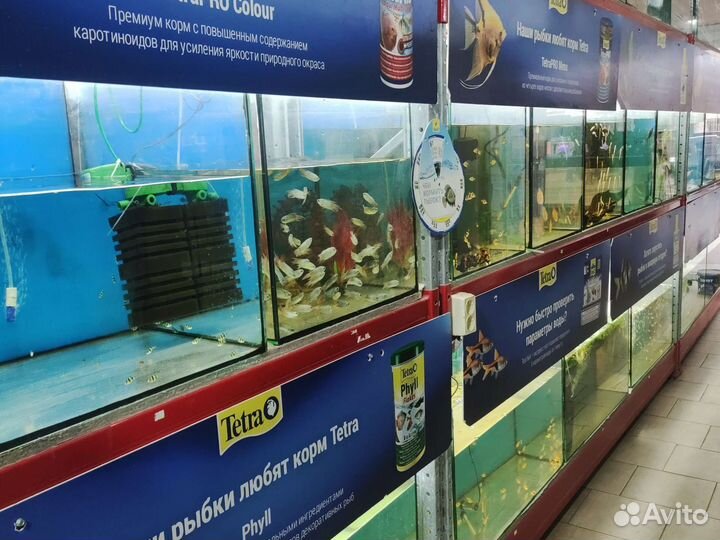 Аквариум на рыба оптом и в розницу