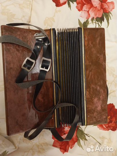 Аккордеон