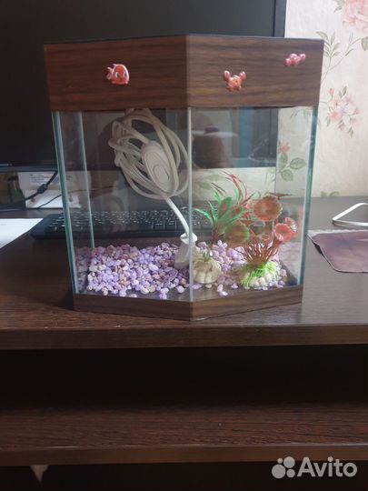 Аквариум маленький