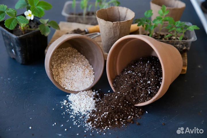 Агроперлит и плодородная земля