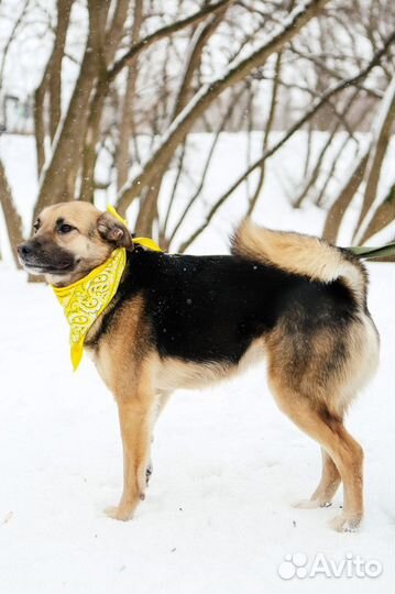 Малютка Никс не может без человека