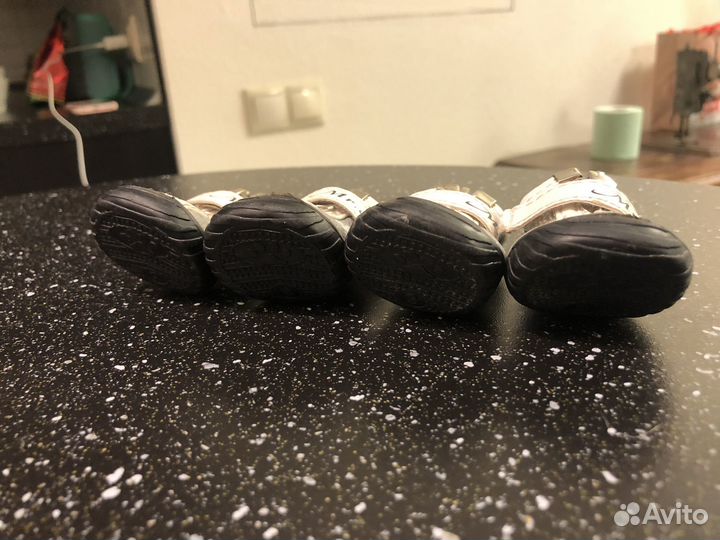 Ботинки для маленьких собак