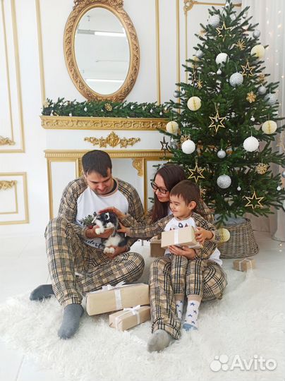 Пижамы новогодние в прокат