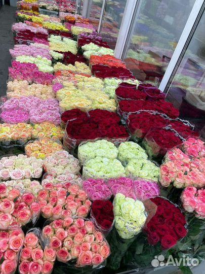 Цветы с доставкой из оптовой базы в розницу в дмд