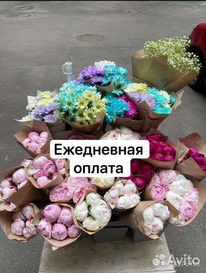 Продавец цветов с ежедневной оплатой