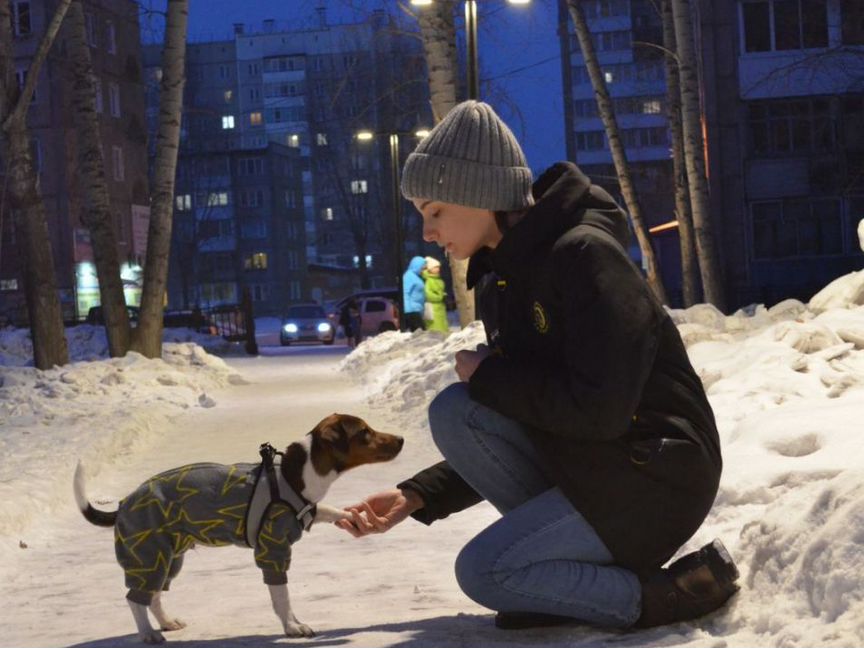 Одежда, амуниция