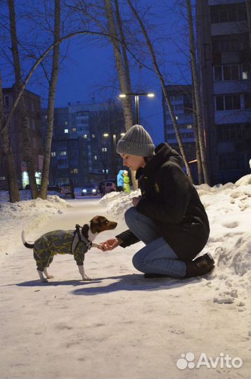 Одежда, амуниция