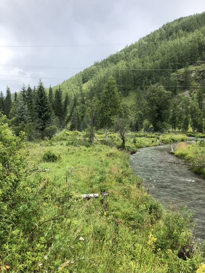 Участок 1,5 га (ИЖС)