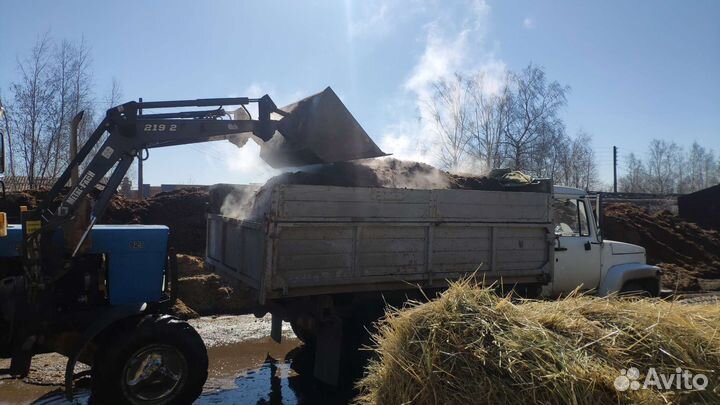 Конский навоз