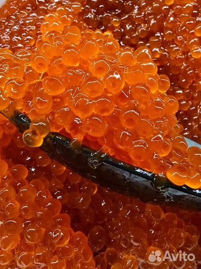 Красная икра оптом