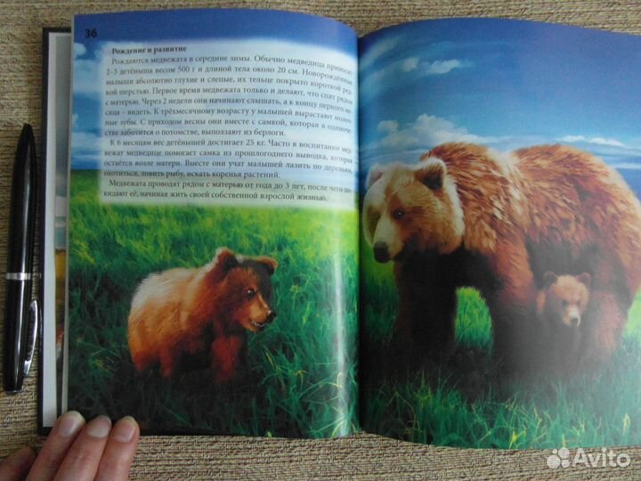 Энциклопедия 