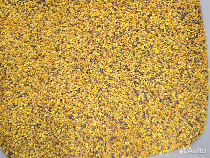 Пыльца пчелиная