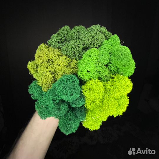 Стабилизированный мох, Зеленый Микс, 05кг, 500г