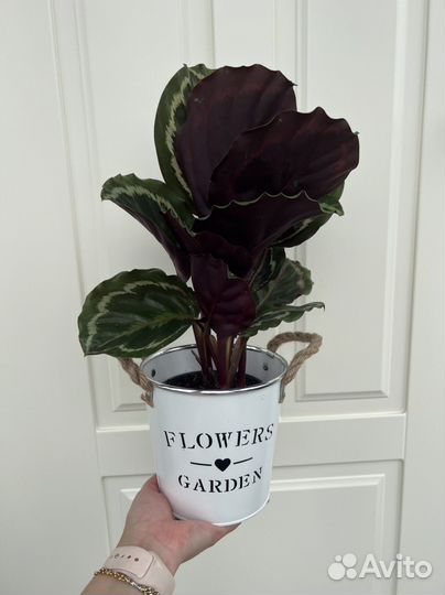 Ведерко декоративное